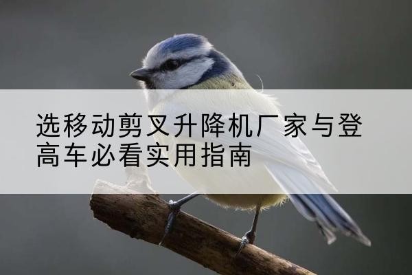 霞山电动升降机厂家-选移动剪叉升降机厂家与登高车必看实用指南