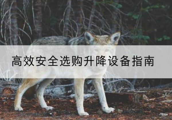 霞山升降货梯厂家推荐-*安全选购升降设备指南