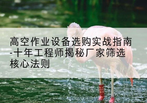 霞山剪叉式升降机厂家-高空作业设备选购实战指南-十年工程师揭秘厂家筛选核心法则